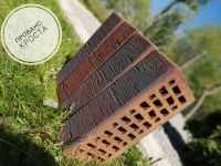 Облицовочный Славянский кирпич одинарный 1 НФ Прованс кроста